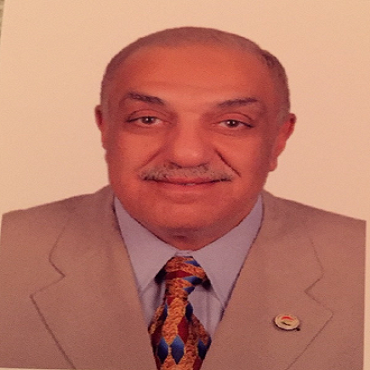 Peers Alley Media Tarek Kamal Motawi