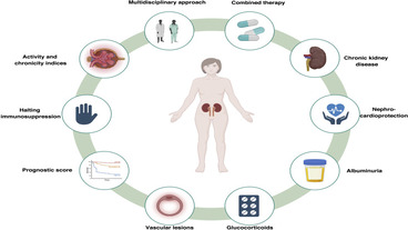 Clinical and Biochemical Factors Associated with Delayed Renal Response in Proliferative Lupus Nephritis A 20-Year Single-Center Multiethnic Cohort Study