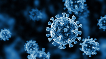 Investigating Pandemic Polarization with Agent-Based Models