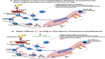 Superficial Venous Thrombosis Following Intravenous Immunoglobulin Infusion in Immune- Mediated Neurological Disorders Case Reports