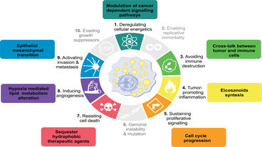 Variation of Lipid species profiles among leukemic cells significantly impact their sensitivity to drug targeting lipid metabolism 