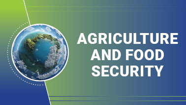 Peers Alley Media: Agriculture and Food Security