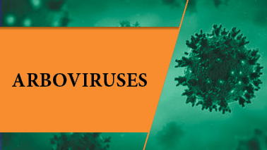 Peers Alley Media: Arboviruses