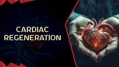 Peers Alley Media: Cardiac Regeneration