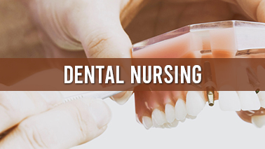 Peers Alley Media: Dental Nursing
