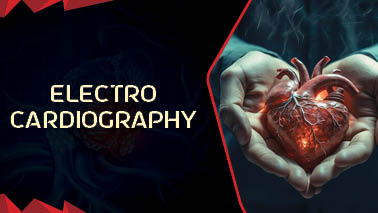 Peers Alley Media: Electrocardiography