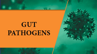 Peers Alley Media: Gut Pathogens