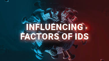 Peers Alley Media: Influencing Factors of IDs