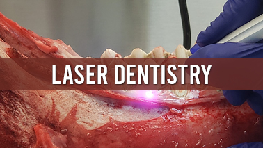 Peers Alley Media: Laser Dentistry
