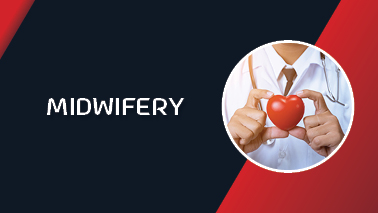 Peers Alley Media: Midwifery