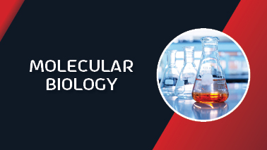 Peers Alley Media: Molecular Biology