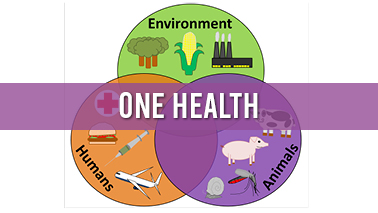 Peers Alley Media: One Health