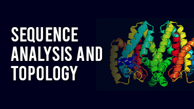 Peers Alley Media: Sequence Analysis and Topology