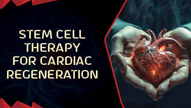 Peers Alley Media: Stem Cell Therapy for Cardiac Regeneration