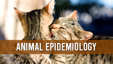 Peers Alley Media: Veterinary Epidemiology