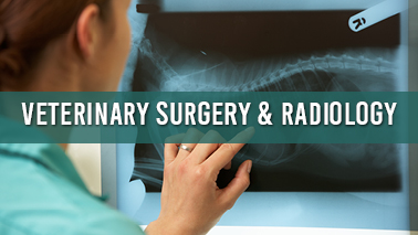 Peers Alley Media: Veterinary Surgery and Radiology